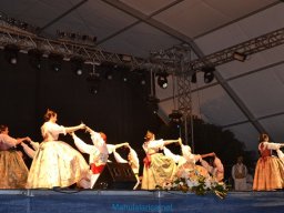 Festival de Folkore en Mula